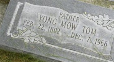 Yong Mow Tom Yong Mow Tom
