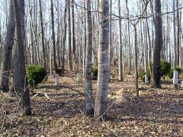 Younger Cemetery