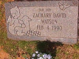 Zachary David Watson Zachary David Watson