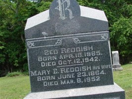 Zed Reddish Zed Reddish