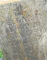Zelgar M Looper Zelgar M Looper