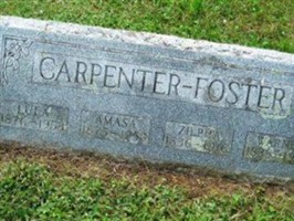 Zilpha Franklin Foster (2050372.jpg)