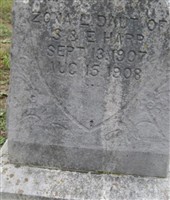 Zona Lucinda Harp