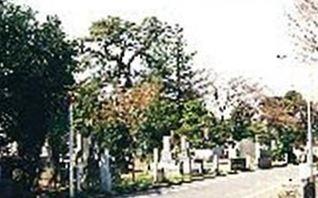 Zoshigaya Cemetery