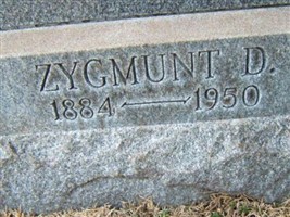 Zygmunt Raichel Zygmunt Raichel