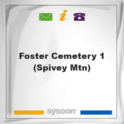 Foster Cemetery #1 (Spivey Mtn), Foster Cemetery #1 (Spivey Mtn)