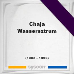 Chaja Wassersztrum, Headstone of Chaja Wassersztrum (1903 - 1992), memorial