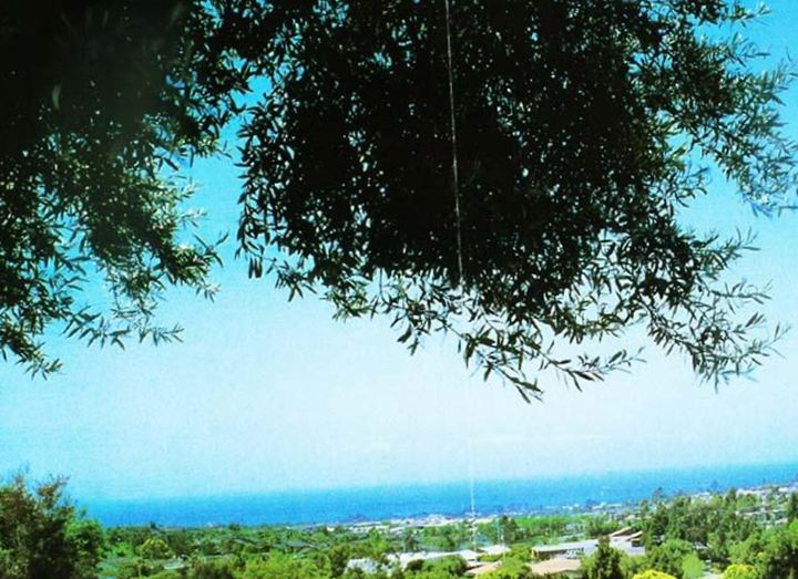 Pacific View Memorial Park Funeral directory [en]