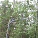 Coleman Cemetery