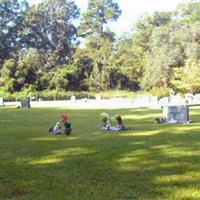 Adams Run Baptist Church Cemetery on Sysoon