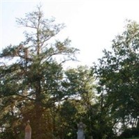 Albion Township Cemetery on Sysoon