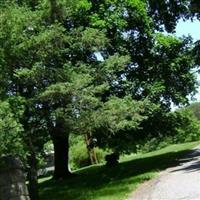 Alexandria Presbyterian Cemetery on Sysoon