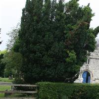 All Saints Churchyard on Sysoon