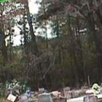 Allen Methodist Cemetery on Sysoon