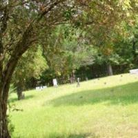 Alligator Cemetery on Sysoon