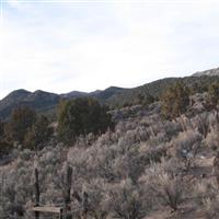 Anderson Shoshone Indian Cemetery on Sysoon