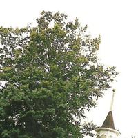 Saint Andrew's Anglican Church Cemetery on Sysoon