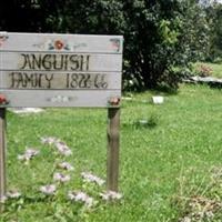Anguish Family 1822-66 on Sysoon