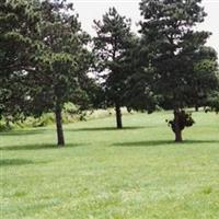 Anna State Hospital Cemetery on Sysoon