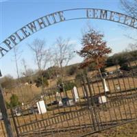 Applewhite Cemetery on Sysoon