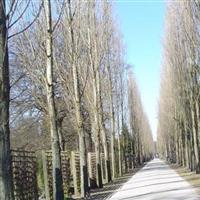 Assistens Cemetery on Sysoon