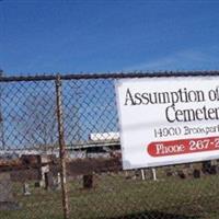 Assumption of Mary Cemetery on Sysoon