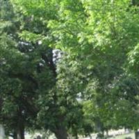 Attica Township Cemetery on Sysoon