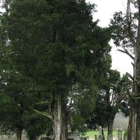 Bakerville Cemetery on Sysoon