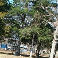 Bassett Grove Cemetery on Sysoon