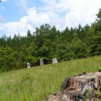 Baughan-Strozier Cemetery on Sysoon