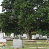 Bayview Cemetery on Sysoon