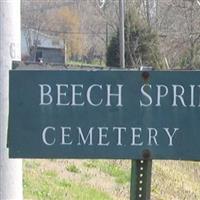 Beech Springs Cemetery on Sysoon