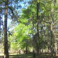 Belle Isle Plantation Cemetery on Sysoon