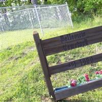 Belleview Cemetery on Sysoon