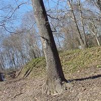 Benjestown Cemetery on Sysoon