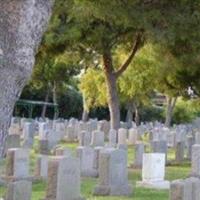 Beth El Cemetery on Sysoon