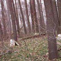 Bethel Cemetery on Sysoon