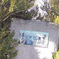 Bicker Cemetery on Sysoon