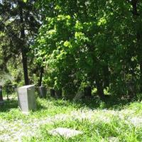 Biddison Family Cemetery on Sysoon