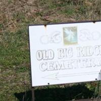 Big Ridge Cemetery on Sysoon