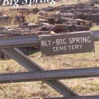 Big Springs Cemetery on Sysoon