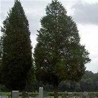 Blachleyville Cemetery on Sysoon