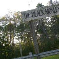 Black-Moseley Cemetery on Sysoon