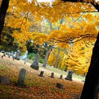 Blackman Cemetery on Sysoon