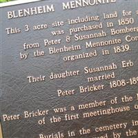 Blenheim Mennonite Cemetery on Sysoon