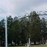 Bloomfield Cemetery on Sysoon