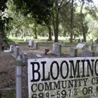 Bloomingdale Community Cemetery on Sysoon