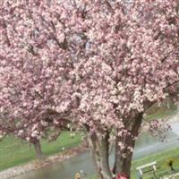 Blue Grass Memorial Gardens on Sysoon