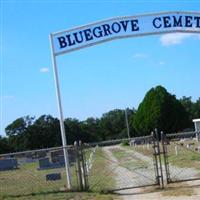 Bluegrove Cemetery on Sysoon