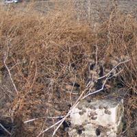 Bohannon Cemetery on Sysoon